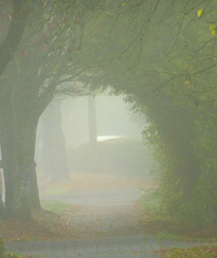 A foggy walkway