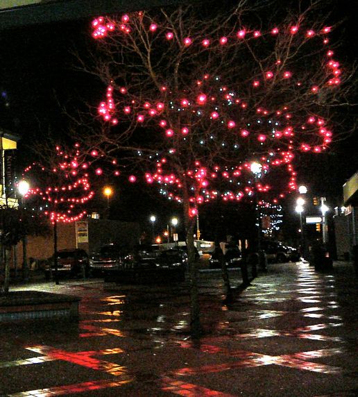 Night scene with lit-up tree